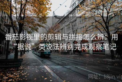 番茄影视里的剪辑与拼接怎么辨：用“据说”类说法辨别完成观察笔记
