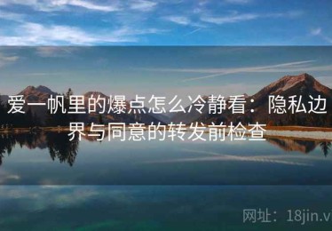 爱一帆里的爆点怎么冷静看：隐私边界与同意的转发前检查