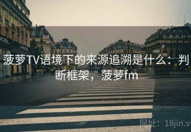 菠萝TV语境下的来源追溯是什么：判断框架，菠萝fm