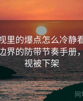 蘑菇影视里的爆点怎么冷静看：版权与转载边界的防带节奏手册，蘑菇影视被下架