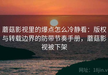 蘑菇影视里的爆点怎么冷静看：版权与转载边界的防带节奏手册，蘑菇影视被下架