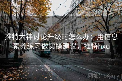 推特大神讨论升级时怎么办：用信息素养练习做实操建议，推特hxd