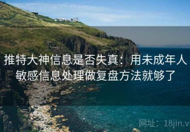 推特大神信息是否失真：用未成年人敏感信息处理做复盘方法就够了