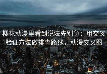 樱花动漫里看到说法先别急：用交叉验证方法做排查路线，动漫交叉图