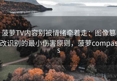 菠萝TV内容别被情绪牵着走：图像篡改识别的最小伤害原则，菠萝compass