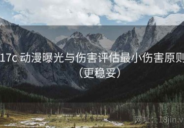 17c 动漫曝光与伤害评估最小伤害原则（更稳妥）