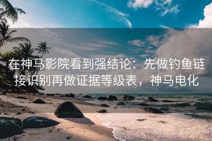 在神马影院看到强结论：先做钓鱼链接识别再做证据等级表，神马电化