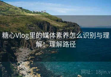 糖心Vlog里的媒体素养怎么识别与理解：理解路径