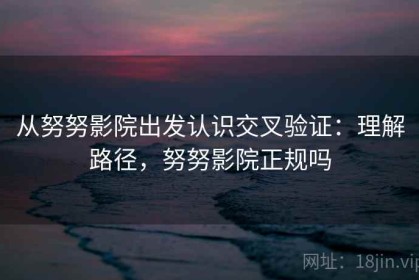 从努努影院出发认识交叉验证：理解路径，努努影院正规吗