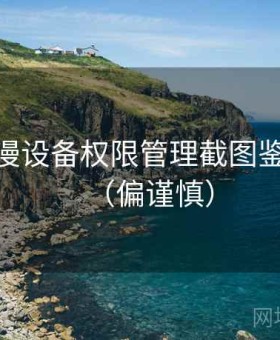 17c 动漫设备权限管理截图鉴别要点（偏谨慎）