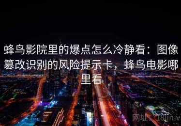 蜂鸟影院里的爆点怎么冷静看：图像篡改识别的风险提示卡，蜂鸟电影哪里看