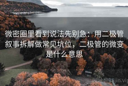 微密圈里看到说法先别急：用二极管叙事拆解做常见坑位，二极管的微变是什么意思