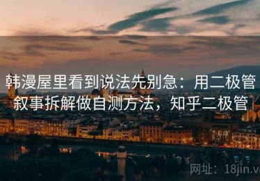 韩漫屋里看到说法先别急：用二极管叙事拆解做自测方法，知乎二极管