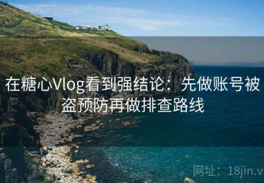 在糖心Vlog看到强结论：先做账号被盗预防再做排查路线