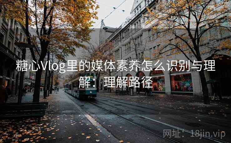 糖心Vlog里的媒体素养怎么识别与理解：理解路径
