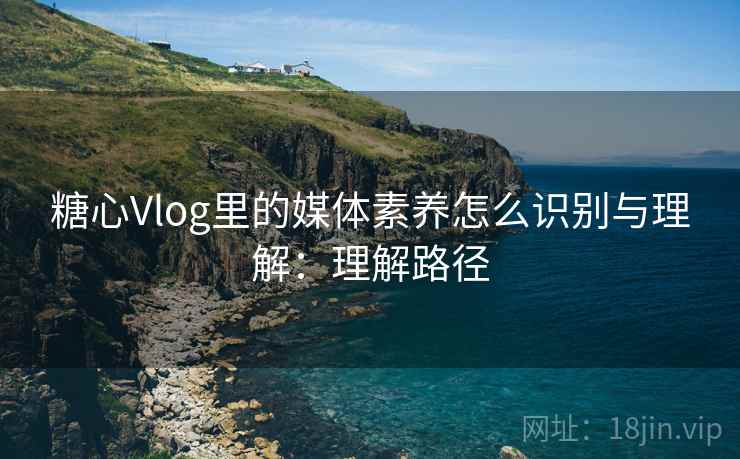 糖心Vlog里的媒体素养怎么识别与理解：理解路径