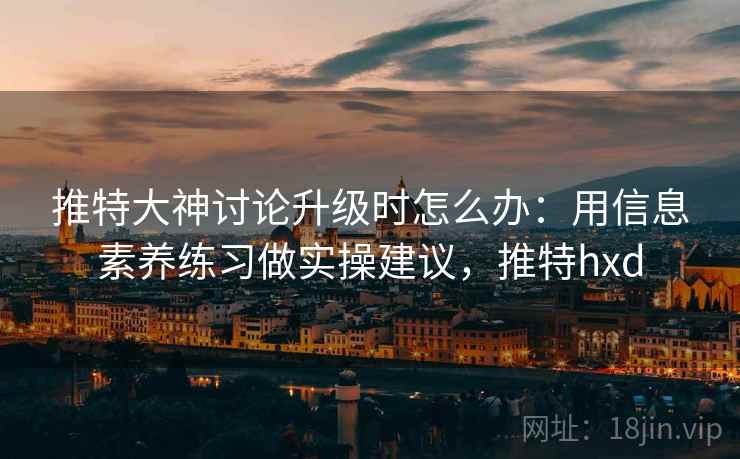 推特大神讨论升级时怎么办：用信息素养练习做实操建议，推特hxd