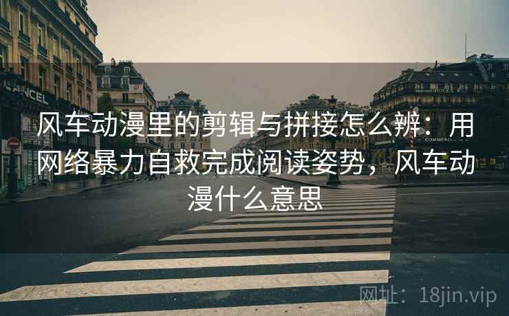 风车动漫里的剪辑与拼接怎么辨：用网络暴力自救完成阅读姿势，风车动漫什么意思